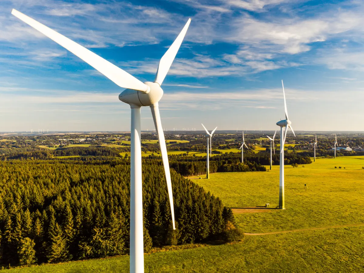 Sustainability and net zero